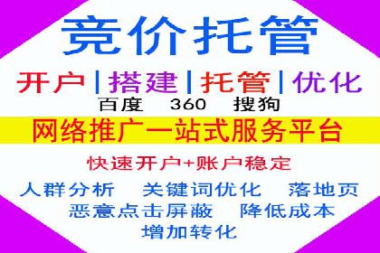 竞价推广公司经典案例：打造行业领先的广告投放效果